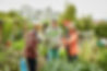 Community Garden