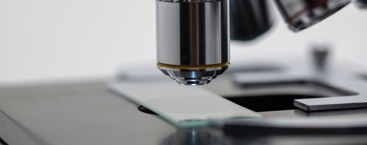 Microscope