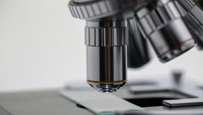 国立研究機関でのお仕事体験記