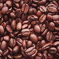 Coffee Beans Close-Up