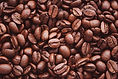 Coffee Beans Close-Up