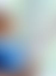 How to Clean Your Own Windows At Home