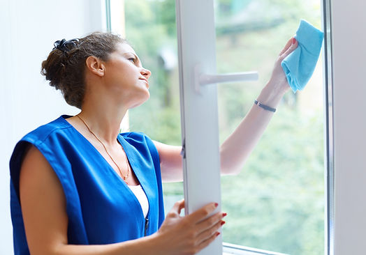 Cleaning the Window