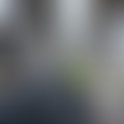 HH #18: Mastering the Transition: From Hauler to Business Manager