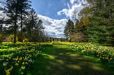 Blooming Garden