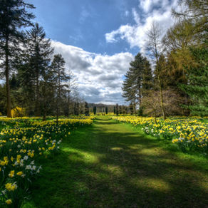 Comment faire de vos extérieurs un véritable levier de valorisation patrimoniale