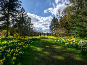 Spring Statement Calls Could Weigh On UK Economy & Personal Finances