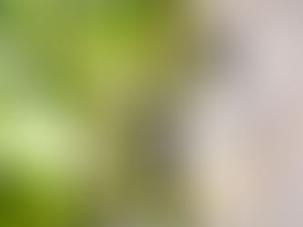 CCTV και GDPR: Πριν πατήσεις το “REC”, μάθε τι κάνουν λάθος οι περισσότεροι.