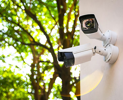 Telecamere di sicurezza