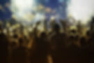 Festival Crowd