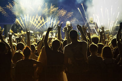 Festival Crowd