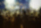 Festival Crowd