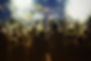 Festival Crowd