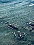 Fishing Boats