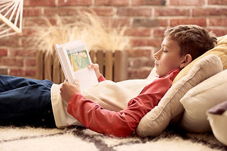 A boy in a red sweater lies on a carpet, reading a book