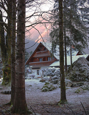 Luxurious Cabin in Winter