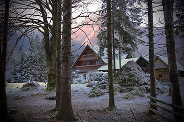 Cozy Cabin Retreat