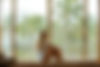 Sitting by the window