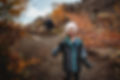 Autumn Walk