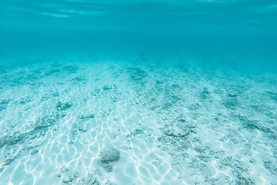 Sous l'eau