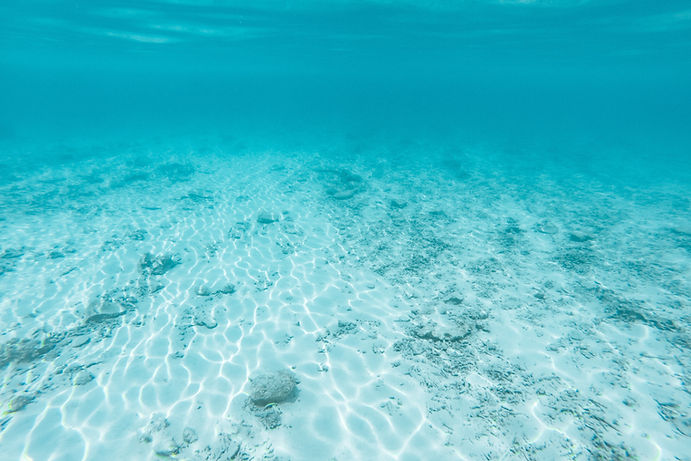 Underwater Ocean Floor