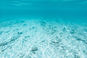Under Water