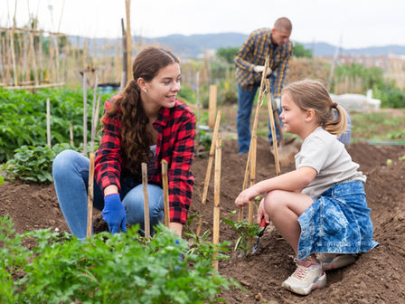 Growing Your Own Garden on a Budget: Cultivating Nature's Bounty Without Breaking the Bank