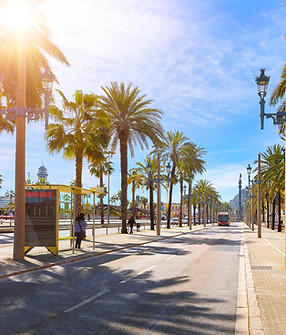 Sunny Afternoon