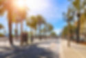Sunny Afternoon