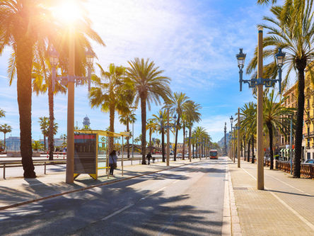 Barcelona's Diverse Real Estate Market