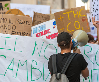 Manifestazione ambientalista