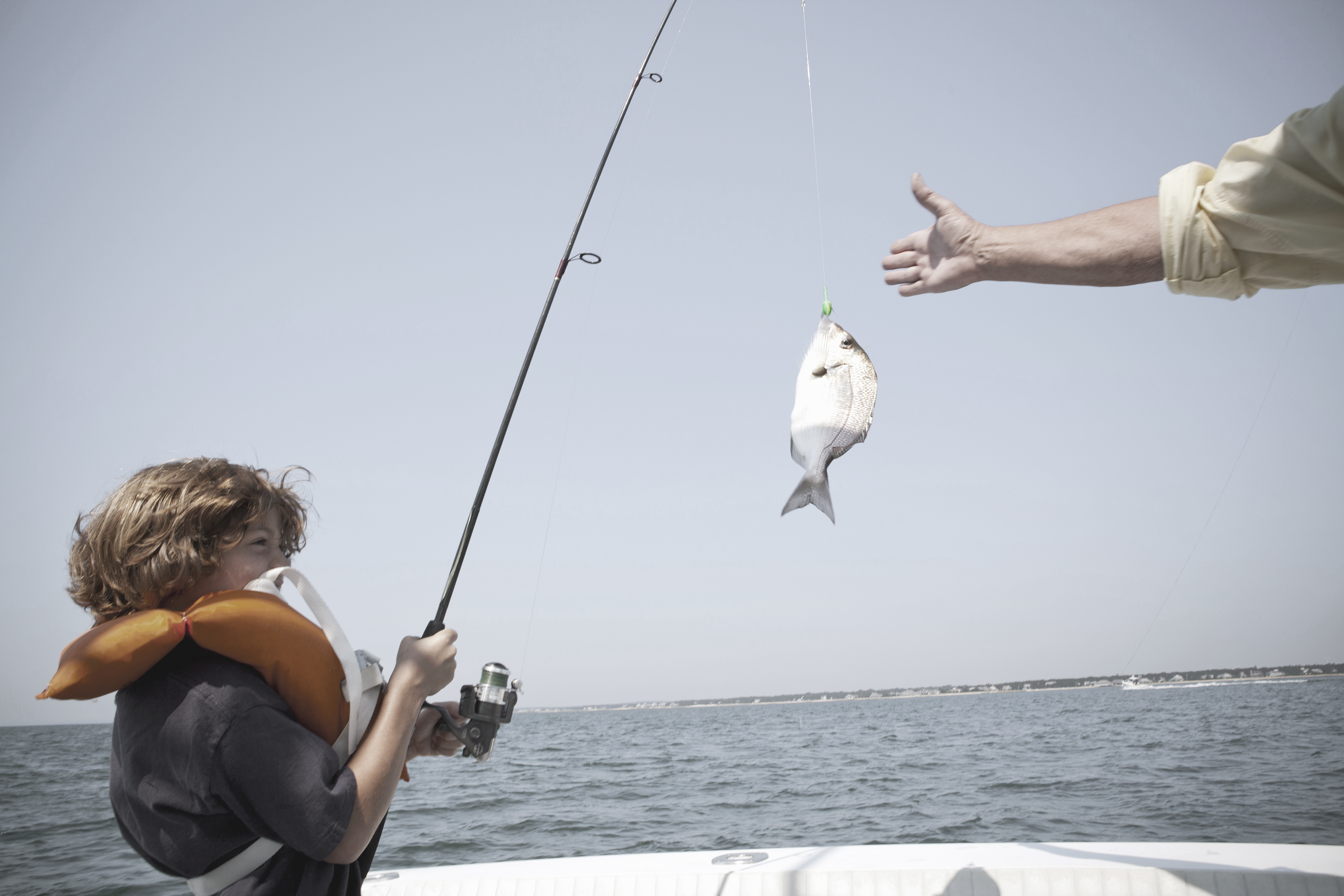 Live pinfish and jigs