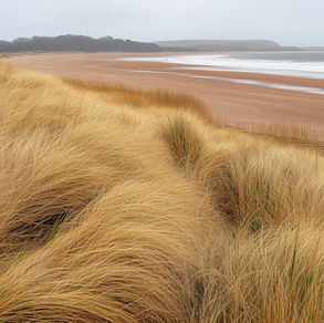 Consciência: o espaço onde voltas a ser livre.