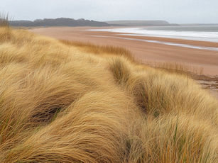 Mi legyen a stresszel?