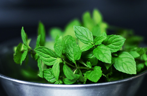 Peppermint Leaves