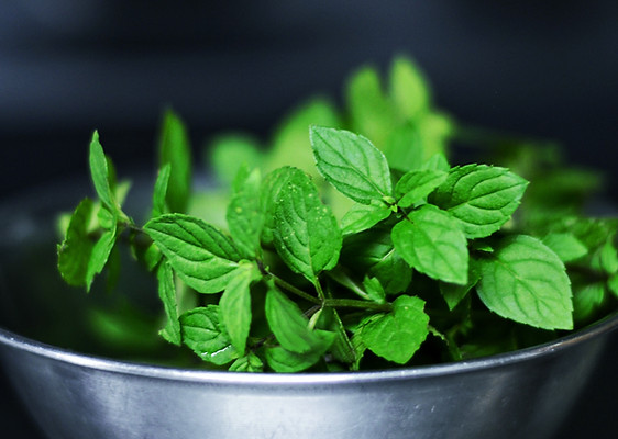 Fresh Mint Leaves