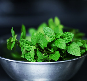 Hojas de menta