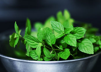 Peppermint Leaves