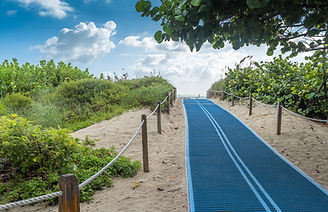 Beach Pathway Scene