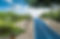 Blue Pathway