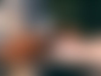 What is the Vision of Revival? Isaiah 54:4-6, The Eternal Covenant of Peace