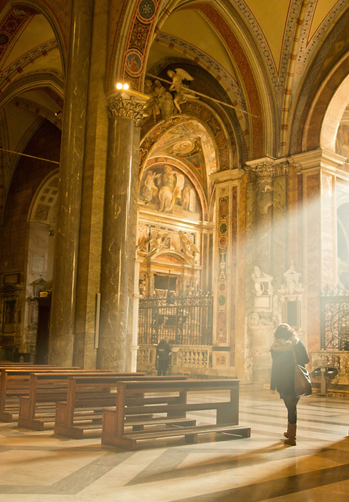 IOM Partnership Donors