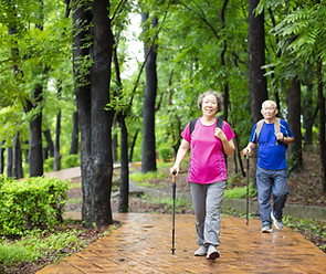 Senior Couple Hiking