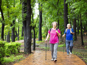 Two older adults walking through a park using canes/walking sticks.