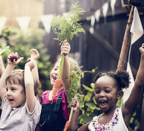 Kids in Vegetable Farm