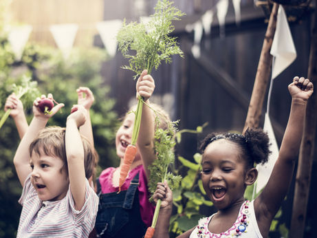 Math and Science in the Kindergarten Waldorf Early Childhood Settings