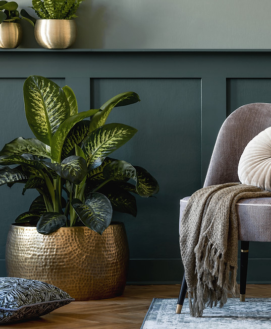 Grauer Stuhl mit Kissen