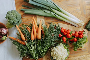 Fresh Organic Vegetables