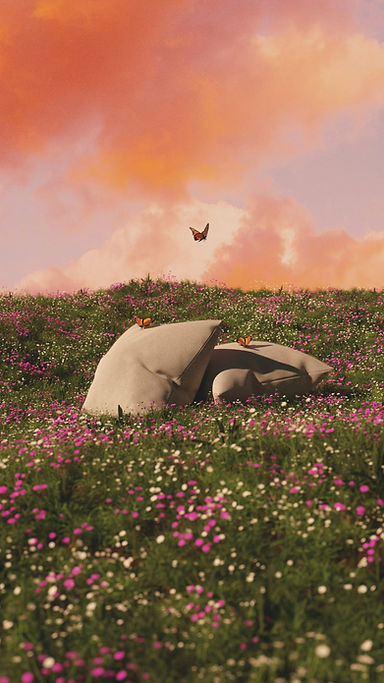Butterfly On Landscape