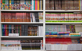 Bookshelf With Comics